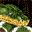 3D Snake Arena 1.78 3D Snake Arena 1.78 32x32 pixels icon