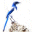 Bluejay 1.12 Bluejay 1.12 32x32 pixels icon