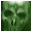 Central Brain Identifier 8.3.6.6 Build 1228 R6 - Detaillierte Informationen für alle AMD-CPUs Central Brain Identifier 8.3.6.6 Build 1228 R6 32x32 pixels icon