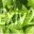 Exiv2 0.22 Exiv2 0.22 32x32 pixels icon