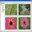 ImageCD Catalog 3.2 ImageCD Catalog 3.2 32x32 pixels icon