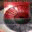 Lanapsoft BotDetect ASP CAPTCHA 2.0.7.0 32x32 pixels icon