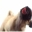 Licking Dog Screen Cleaner Screen Saver 2.0 - Licking Hund Screen Cleaner Screen Saver Licking Dog Screen Cleaner Screen Saver 2.0 32x32 pixels icon