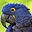 Parrots Free Screensaver 2.0.2 Parrots Free Screensaver 2.0.2 32x32 pixels icon