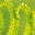 Patterns of Nature DesktopFun Scree... 3.0 32x32 pixels icon