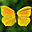 Splendid Butterflies Free Screensaver 2.0.3 32x32 pixels icon