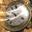 The Lost Watch 3D Screensaver 1.1 - Verlorene Uhr Screensaver- verborgener Schatz The Lost Watch 3D Screensaver 1.1 32x32 pixels icon