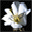 The Shakespeare Collection 1.0 32x32 pixels icon