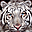 Tigers Free Screensaver 2.0.3 Tigers Free Screensaver 2.0.3 32x32 pixels icon