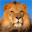 Free Lions Screensaver 1.0 Free Lions Screensaver 1.0 32x32 pixels icon