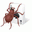 Free Spider 2009 - Solitaire Collection 2.0 32x32 pixels icon