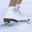 Free Winter Sports Screensaver 1.0 Free Winter Sports Screensaver 1.0 32x32 pixels icon