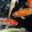 koi pond filters 1.0 - Koi-Teichfilter-Bildschirmschoner koi pond filters 1.0 32x32 pixels icon