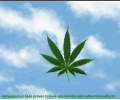 Cannabinatic Screensaver Screenshot 0