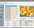 Easy Web Gallery Builder Screenshot 0
