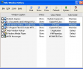 Hide Window Hotkey Screenshot 0