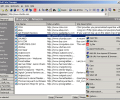 IC Soft Site Manager Screenshot 0