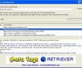 Meta Tags Retriever Screenshot 0