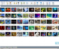NetSupport School Screenshot 0