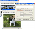 TZO Dynamic DNS Client with Photo Sharing Screenshot 0