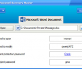 Word Password Recovery Master Screenshot 0