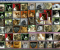 CompliCat Mah Jong Screenshot 0