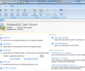 PostgreSQL Data Wizard Screenshot 0