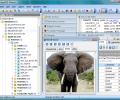 PostgreSQL Maestro Screenshot 0