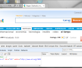 Internet Explorer 7 Screenshot 6