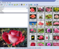 Able Image Browser Screenshot 0