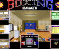 Boxing Manager Professional Edition Screenshot 0