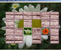 CompliCat Concentration Screenshot 0