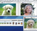 Morpheus Photo Animation Suite Mac Screenshot 0