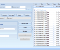 Rapid File Renamer Screenshot 0