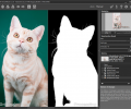 AKVIS SmartMask Screenshot 0