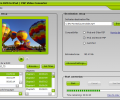 SoftMetro DVD to iPod/PSP Converter Screenshot 0