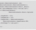 .NET Websites Screenshot DLL Screenshot 0