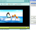 AnvSoft Web FLV Player Freeware Screenshot 0