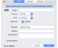 Folx torrent client Screenshot 0