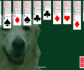 Spider Solitaire 4-Suit Screenshot 0