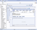 SQL Reporter Screenshot 0