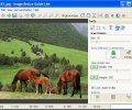 Image Resize Guide Lite Screenshot 0