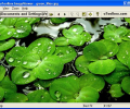 uToolbox Image Viewer Tool Screenshot 0