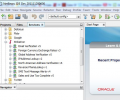 NetBeans IDE Screenshot 0