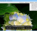Honeyview Image Viewer Screenshot 2