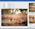 Hornil Photo Resizer Screenshot 1