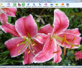 Free Photo Slide Show Screenshot 0
