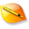 010 Editor 14.0 32x32 pixels icon