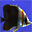 3D AquaLife Screensaver 1.0.5 3D AquaLife Screensaver 1.0.5 32x32 pixels icon