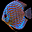 Aquarium Fishes Free Screensaver 2.0.3 Aquarium Fishes Free Screensaver 2.0.3 32x32 pixels icon